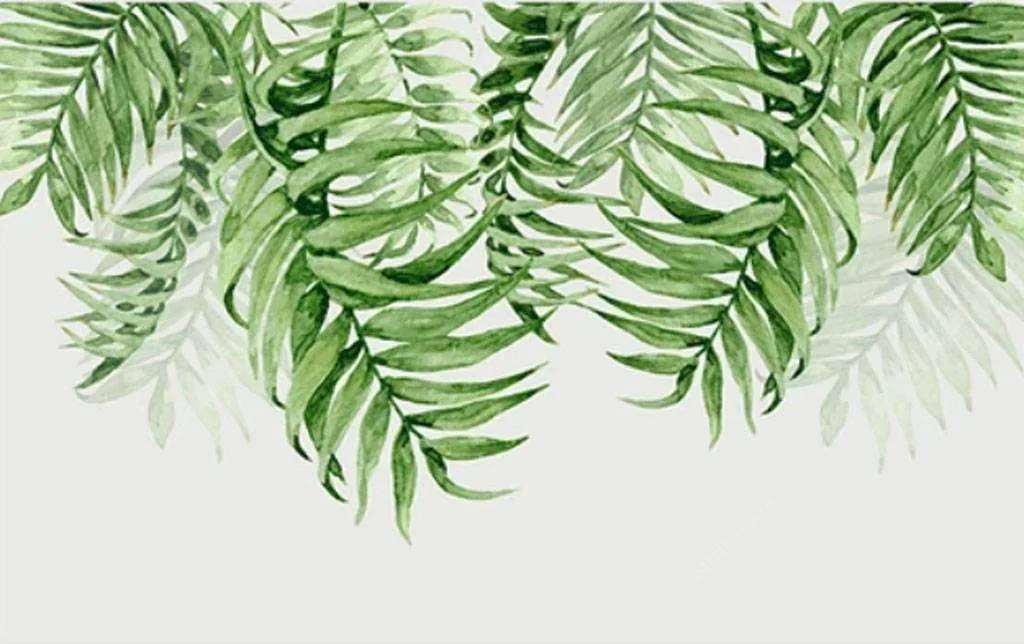 Фотообои в интерьере тропические ветви  15-537 фото