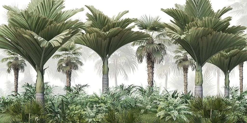 Фотообои в интерьере бетелевая пальма  9-1714 фото