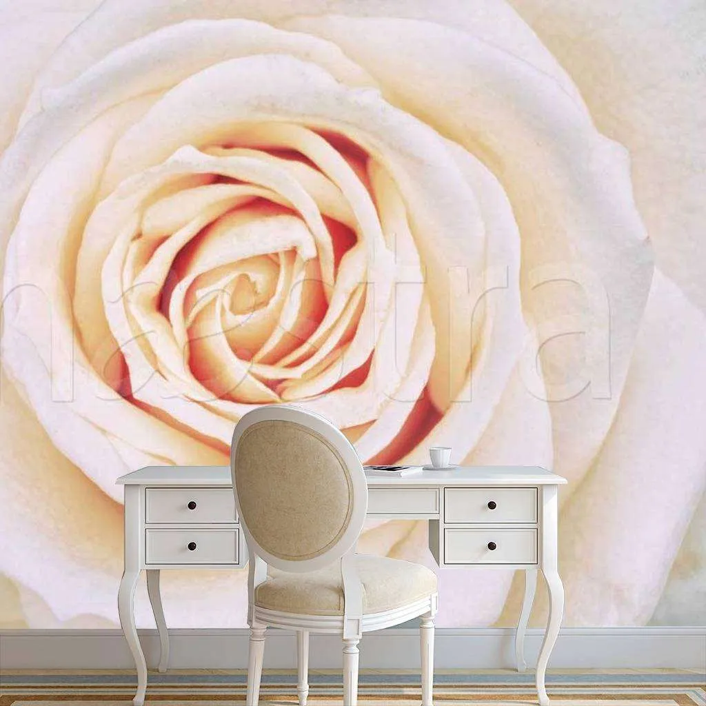 Фотообои Чайная роза красивая  10-236