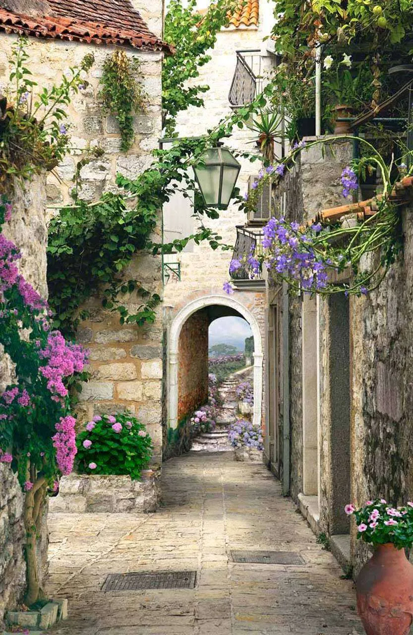 Фотообои в интерьере колоритная улочка  5-030 фото