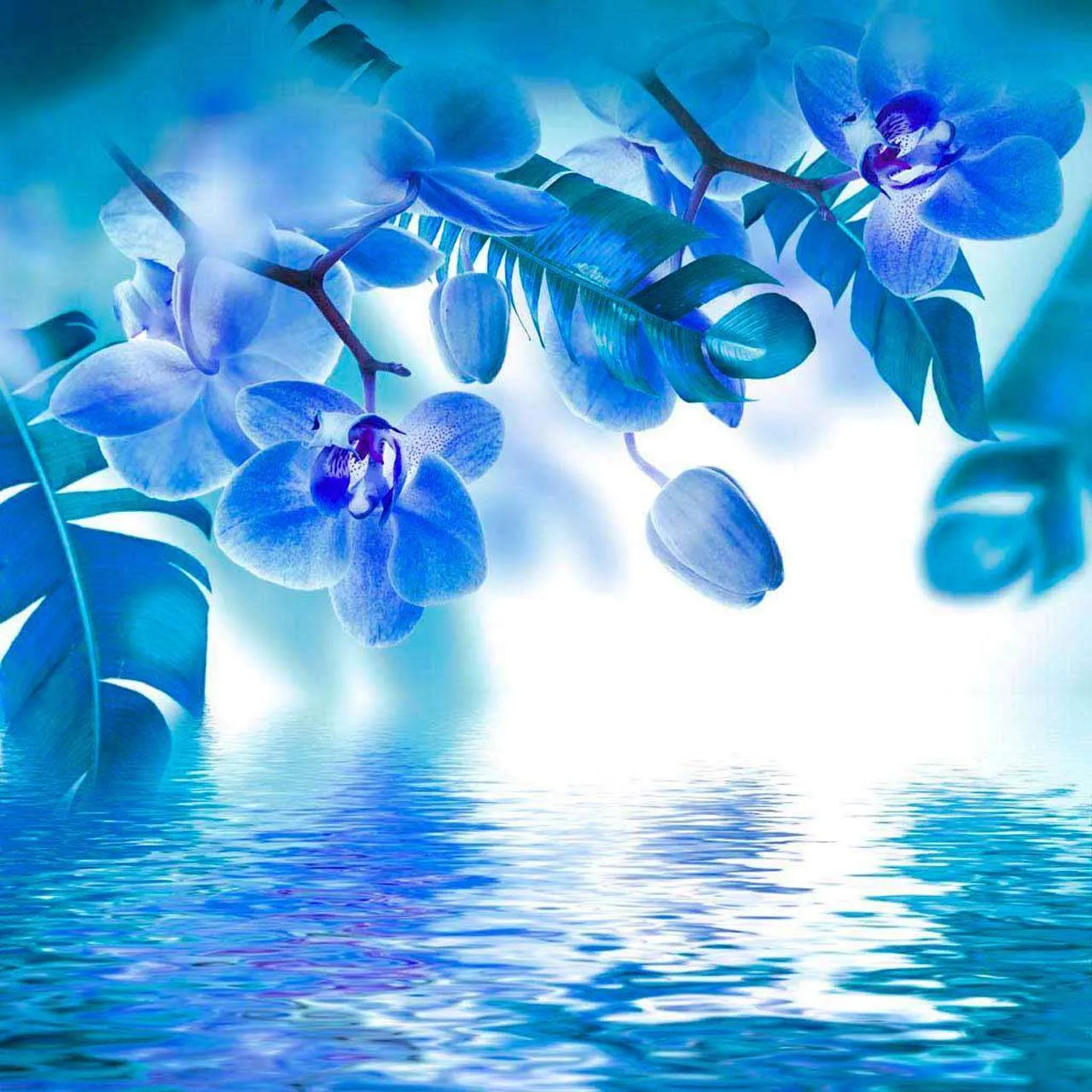 Фотообои в интерьере ветки синей орхидеи над водой  10-214 фото
