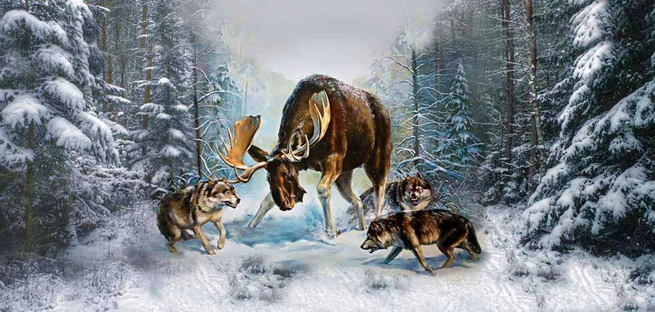 Фотообои в интерьере лось в зимнем лесу  7-016 фото