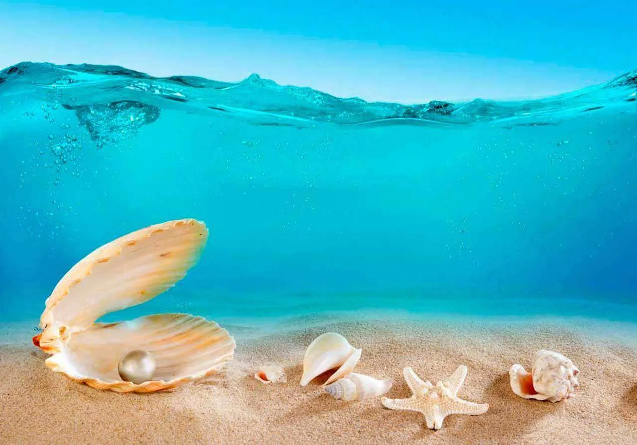 Фотообои в интерьере ракушка  4-351 фото