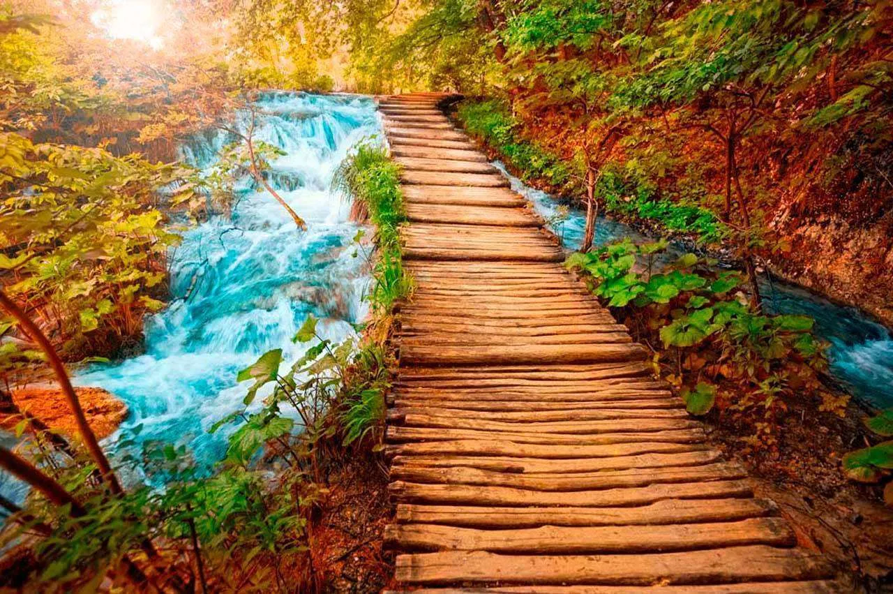 Фотообои в интерьере дорога к водопаду  4-368 фото