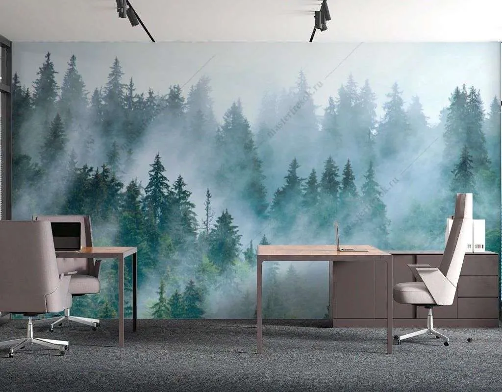 Фотообои в интерьере прекрасный утренний лес  14-615 фото