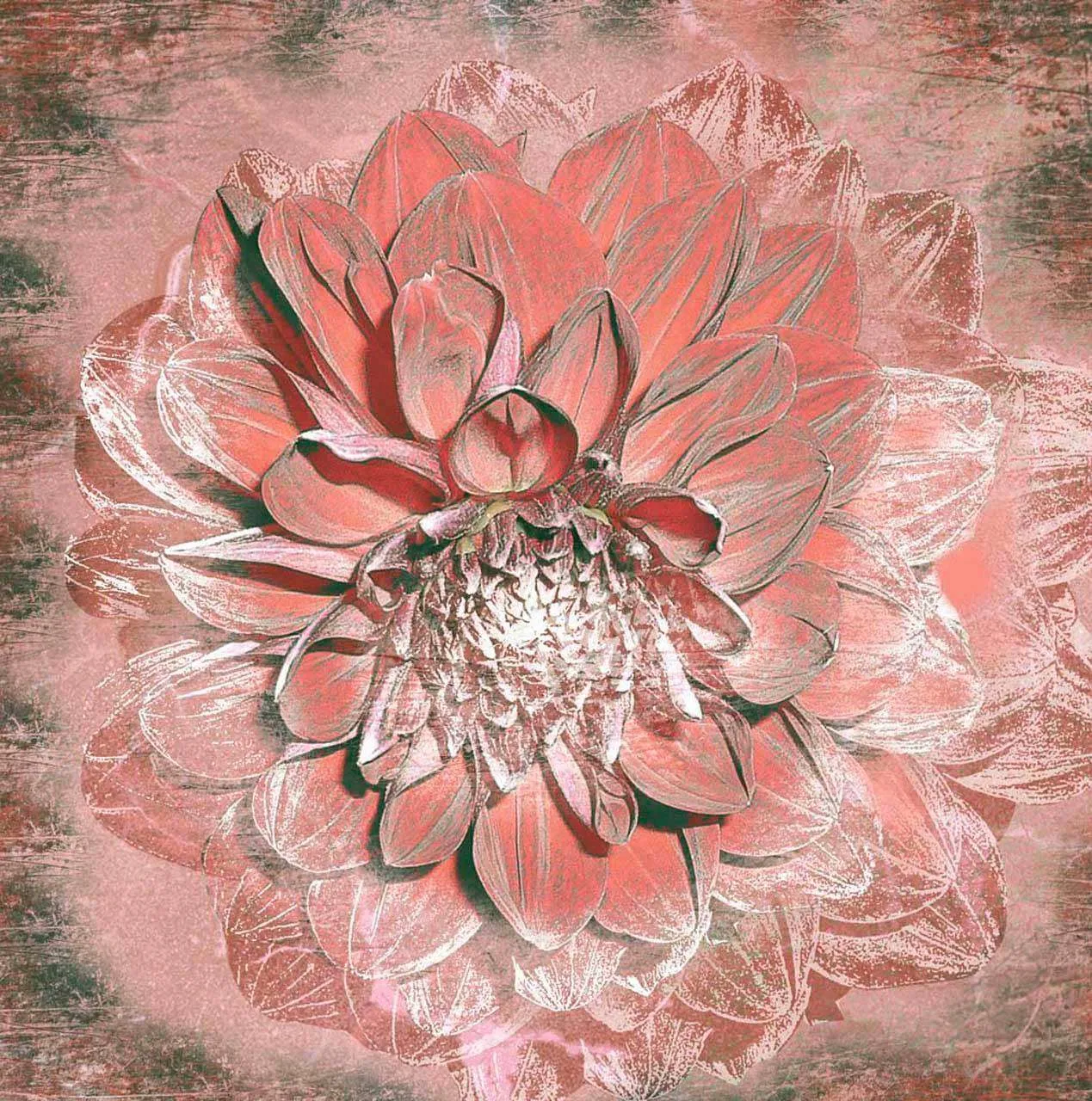 Фотообои в интерьере розовые арт цветы  3-150 фото