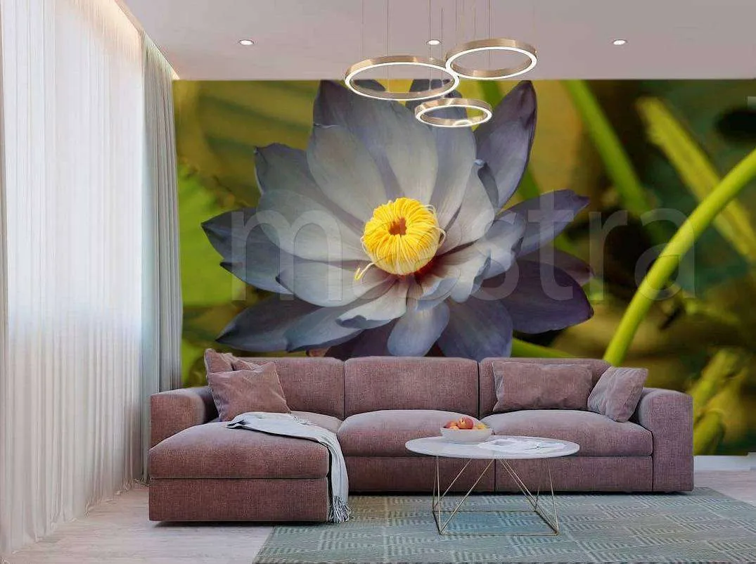 Фотообои Крупный синий цветок  4-038