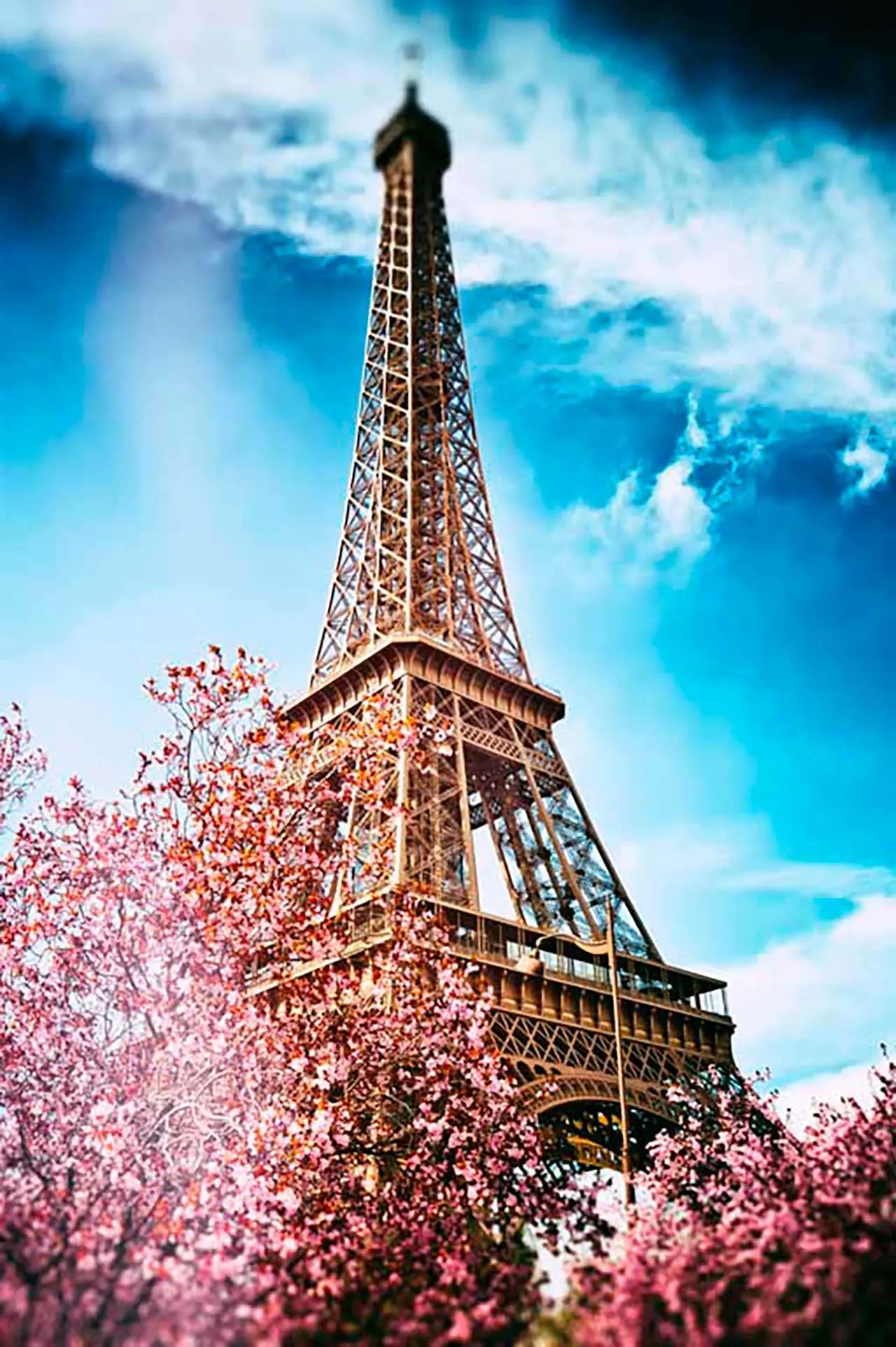 Фотообои в интерьере эйфелева башня в цветущих деревьях  9-788 фото
