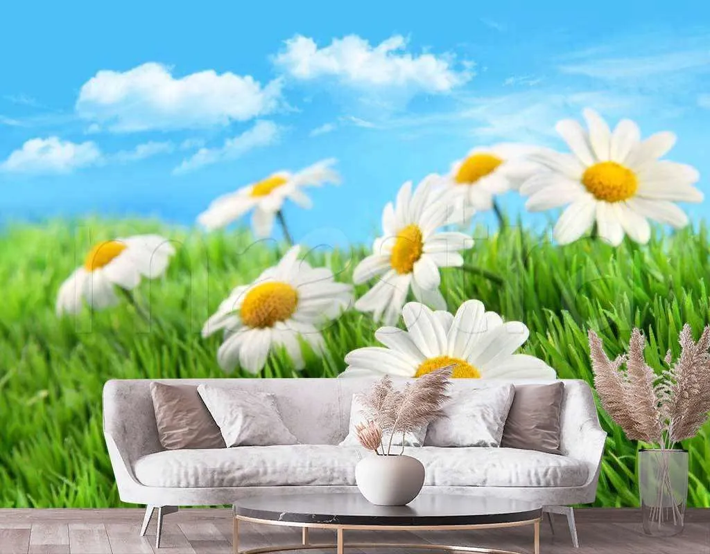 Фотообои Скромные ромашки  10-338