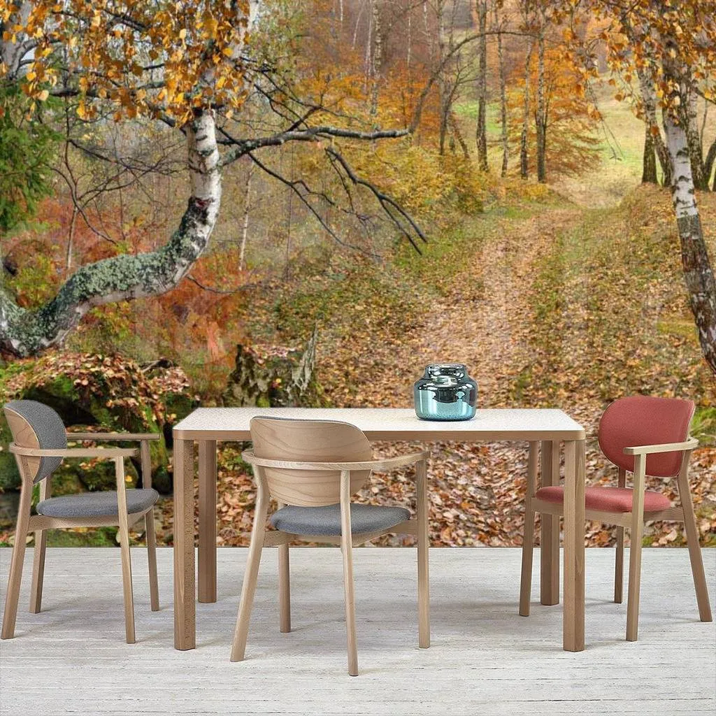 Фотообои в интерьере осень в лесу  7-131 фото