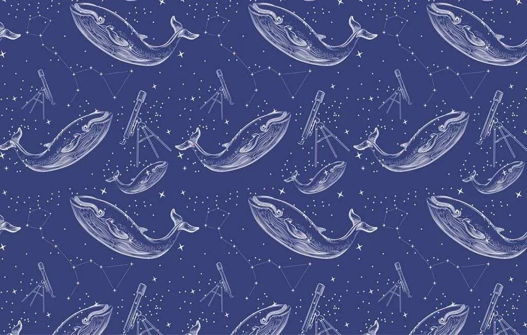 Фотообои в интерьере киты фоновые обои  12-1655 фото