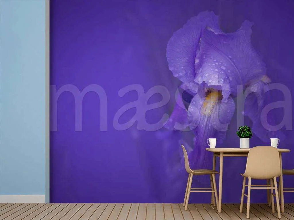 Фотообои Ирисы в каплях росы  10-014