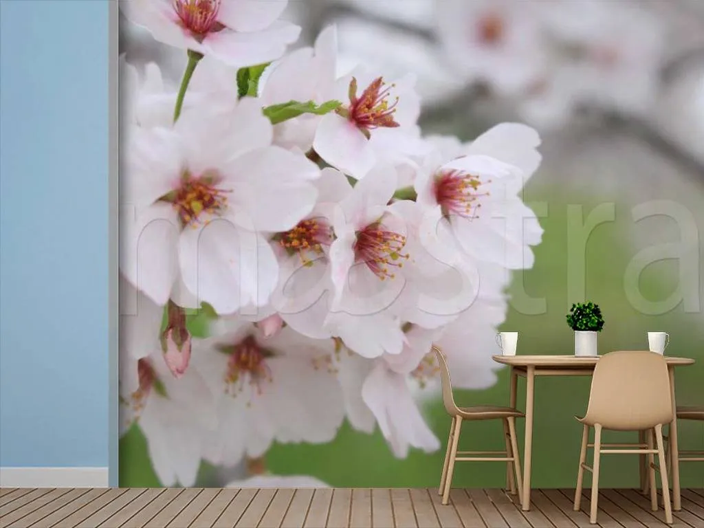 Фотообои Вулкан Фудзияма весной  10-031