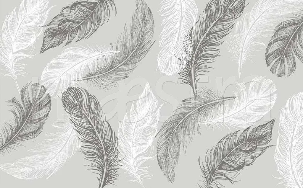 Фотообои в интерьере перо серое  15-500 фото