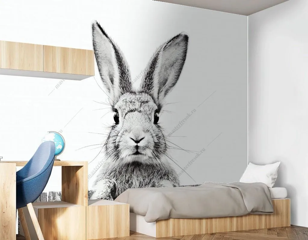 Фотообои Серый зайка  14-490