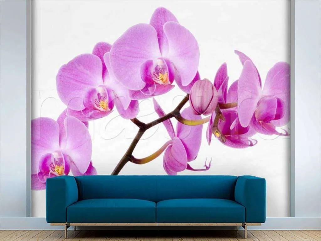 Фотообои Ветка орхидеи  9-267