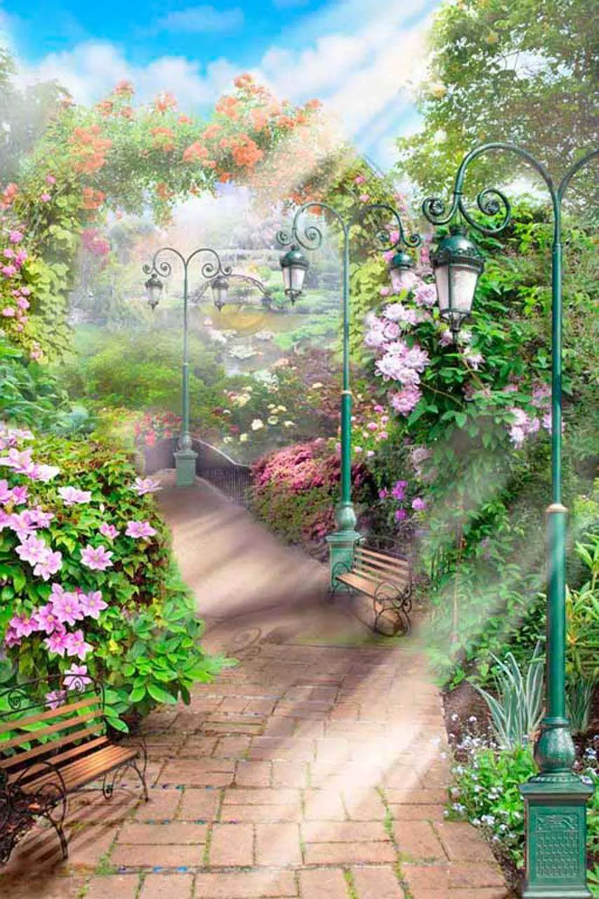 Фотообои в интерьере зеленая аллея  6-114 фото