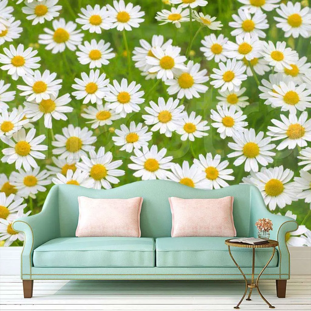 Фотообои Ромашки  9-050