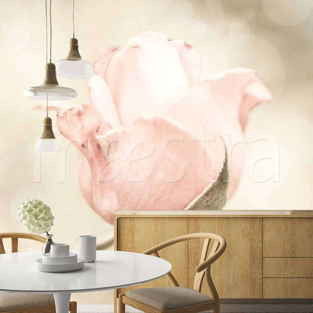 Фотообои Нежная роза изящная  10-247