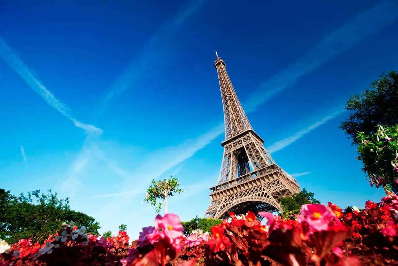 Фотообои в интерьере вид на эйфелеву башни снизу  4-197 фото