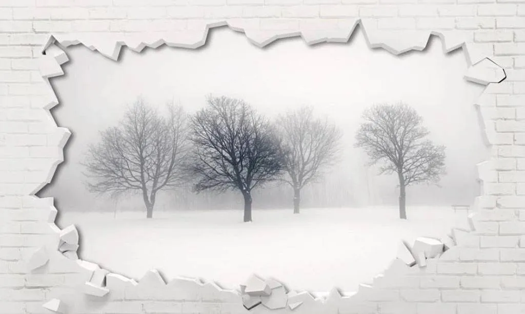 Фотообои в интерьере лес в стене  15-741 фото