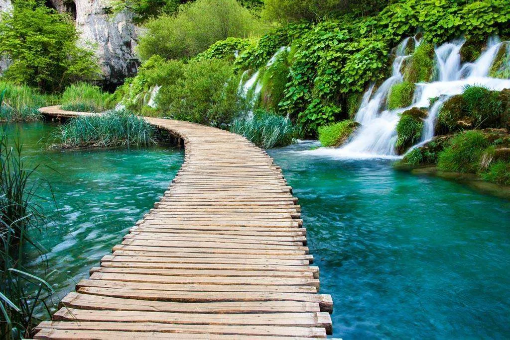 Фотообои в интерьере прогулка по водопаду  9-898 фото