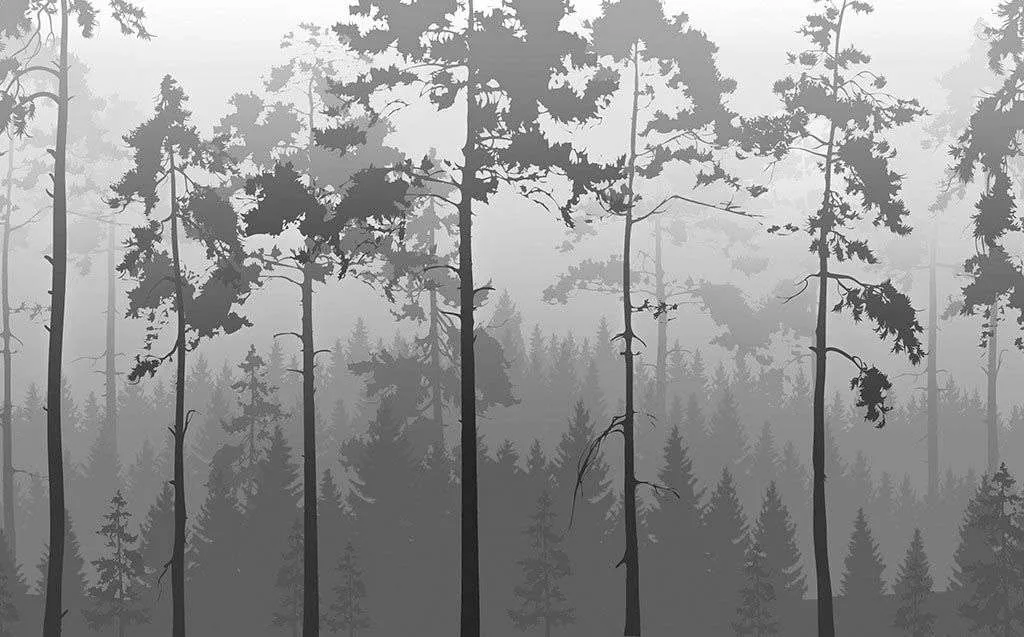 Фотообои в интерьере серый туманный лес  14-610 фото