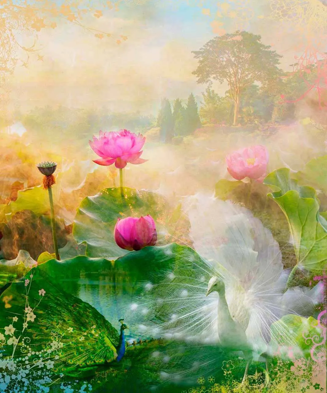 Фотообои в интерьере павлины на лугу  5-155 фото