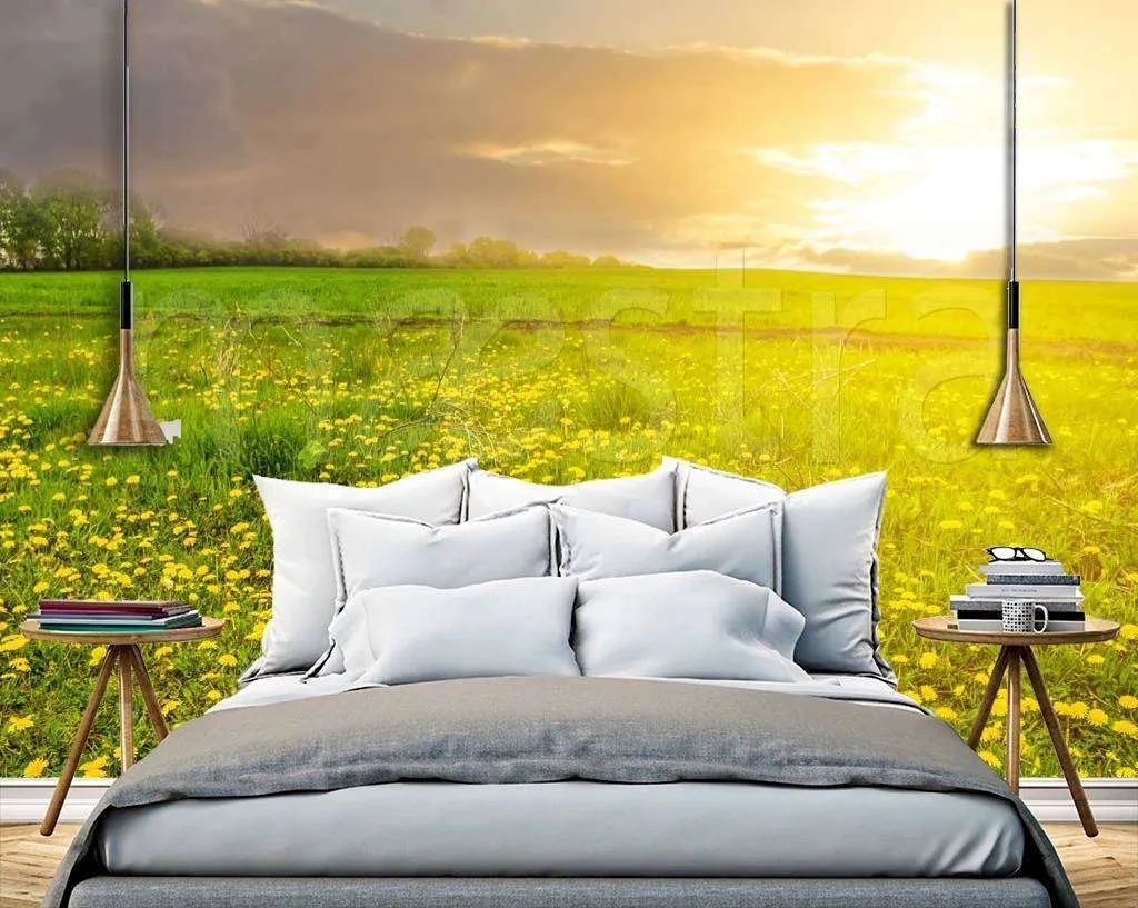 Фотообои Одуванчики на весеннем поле  10-072