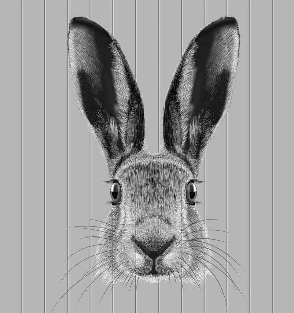 Фотообои в интерьере кролик  14-160 фото