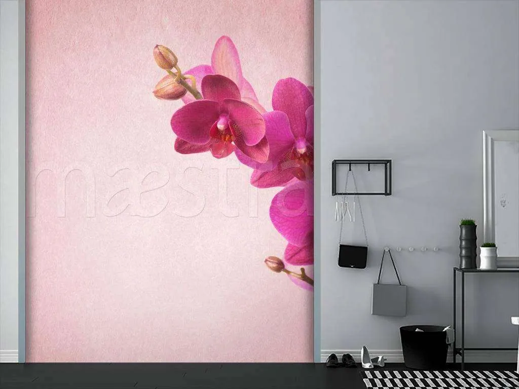 Фотообои Розовая орхидея прекрасная  10-171