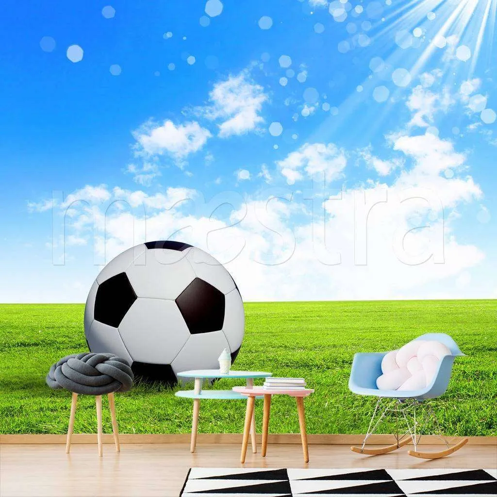 Фотообои в интерьере мяч под солнцем  12-535 фото
