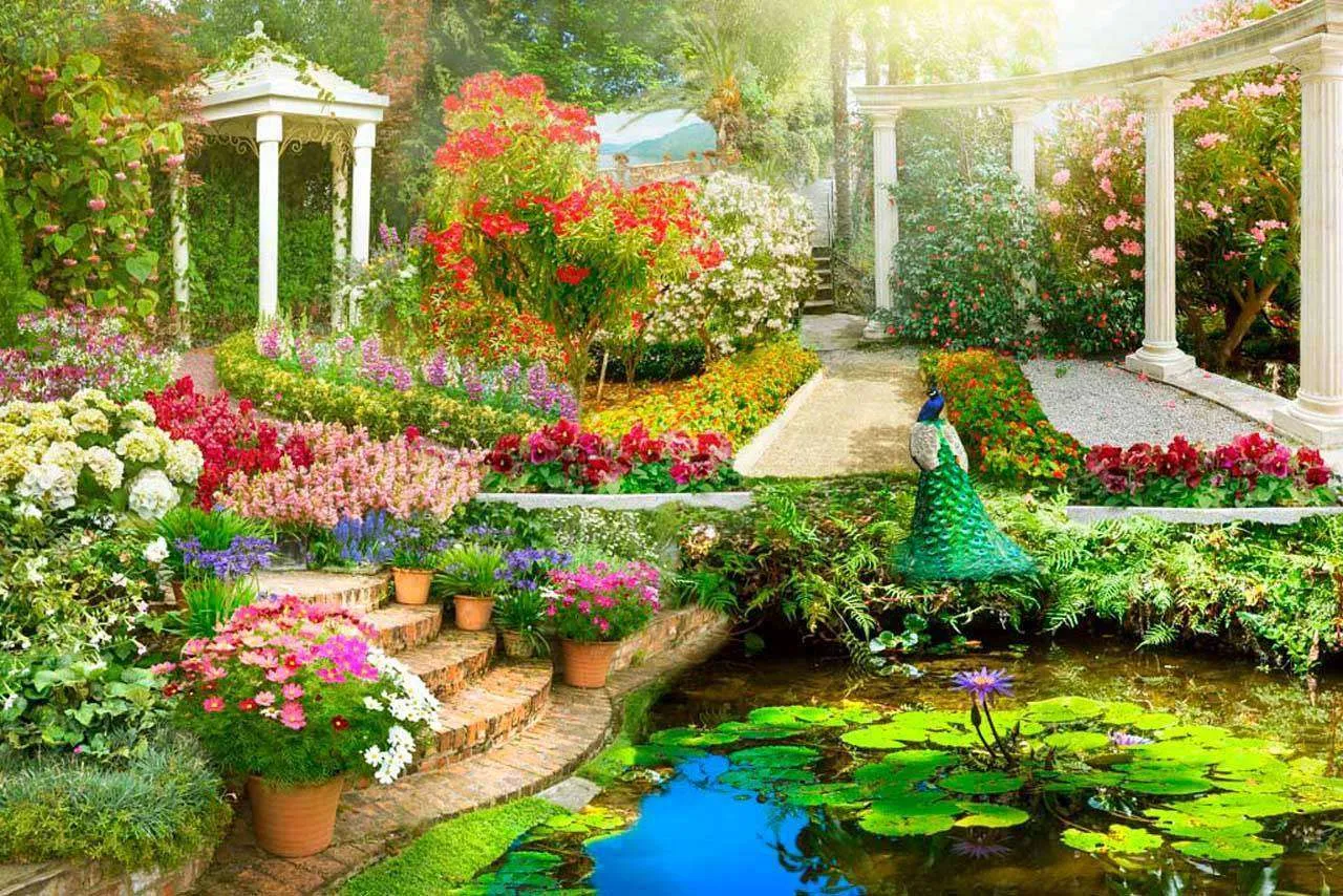 Фотообои в интерьере цветущий пруд  7-347 фото