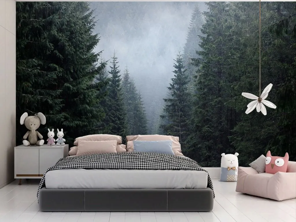 Фотообои в интерьере ущелье в сосновом лесу  9-1934 фото