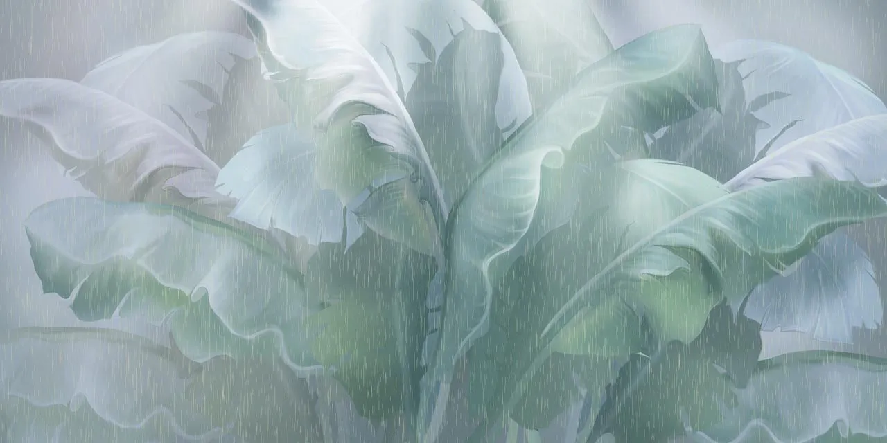 Фотообои в интерьере зеленые листья банана  13-457 фото