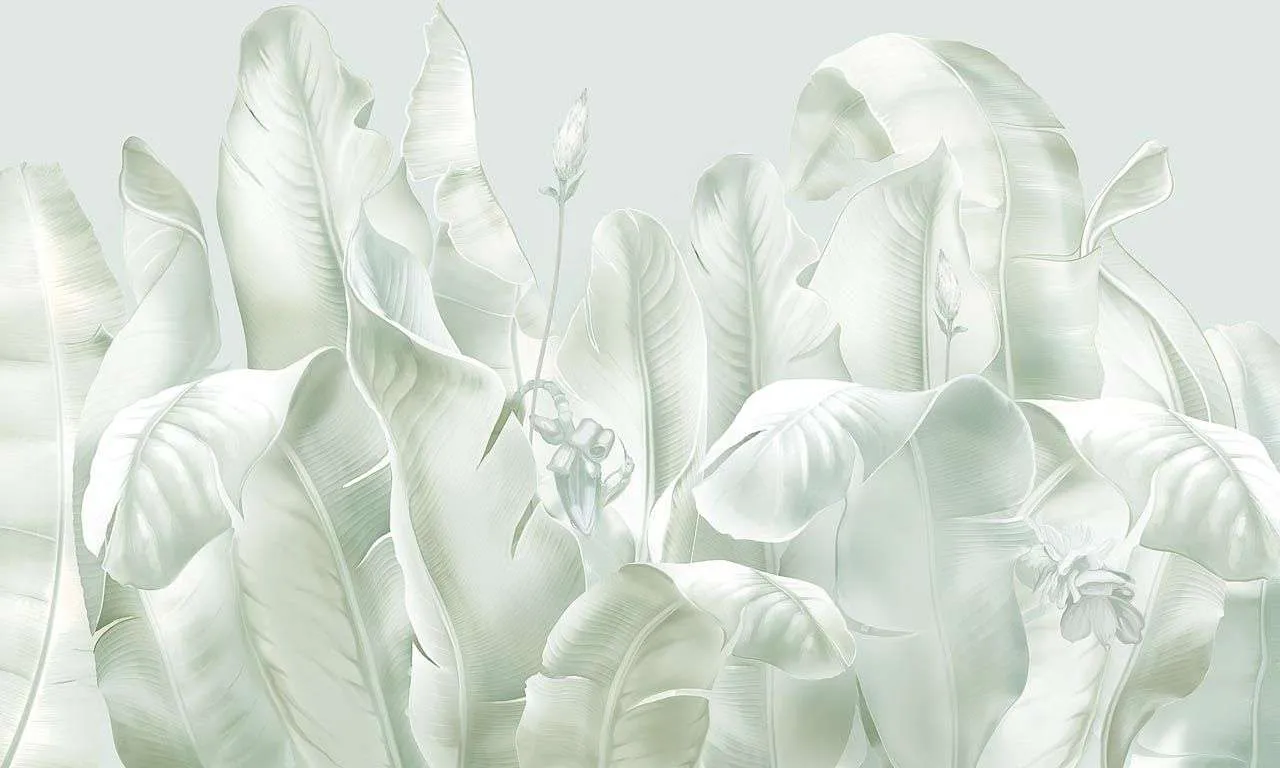 Фотообои в интерьере листья банановой пальмы  13-562 фото