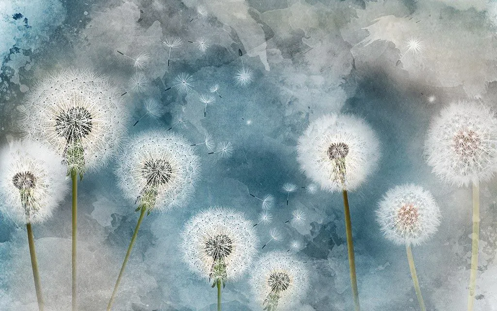 Фотообои в интерьере одуванчики на синем фоне  14-476 фото