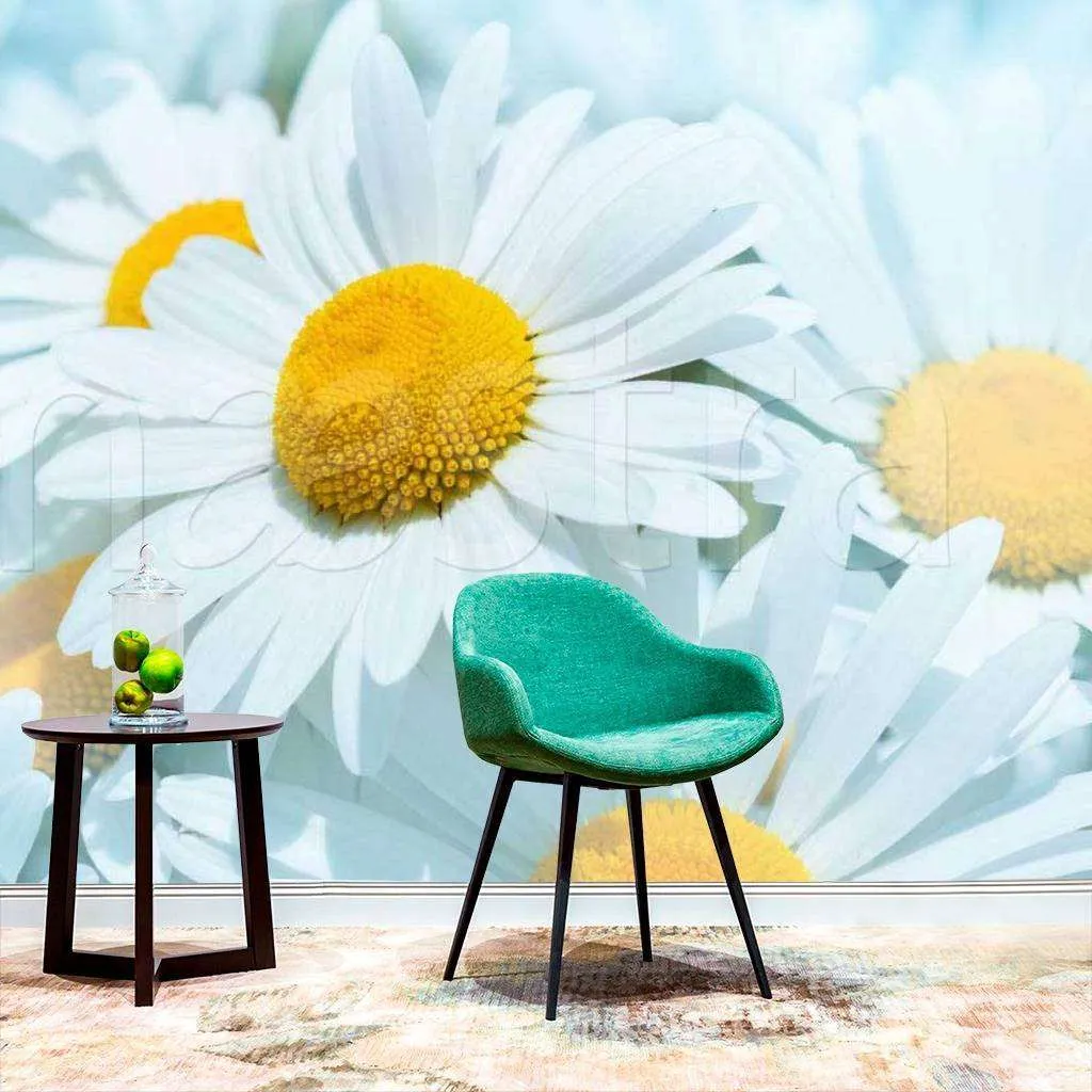 Фотообои Кипельно белые ромашки  10-332