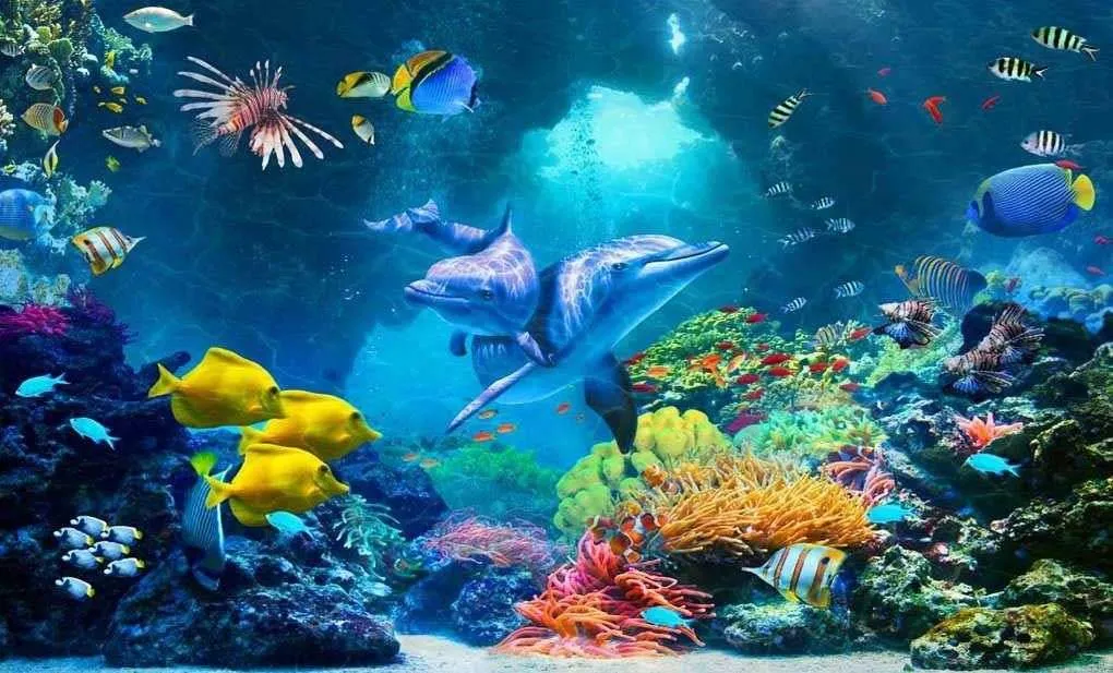 Фотообои в интерьере подводный мир с дельфинами  17-6702 фото