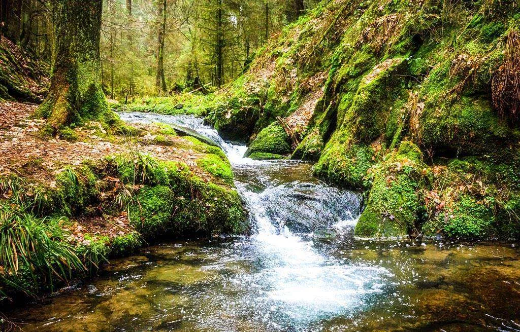 Фотообои в интерьере горный ручей  9-894 фото