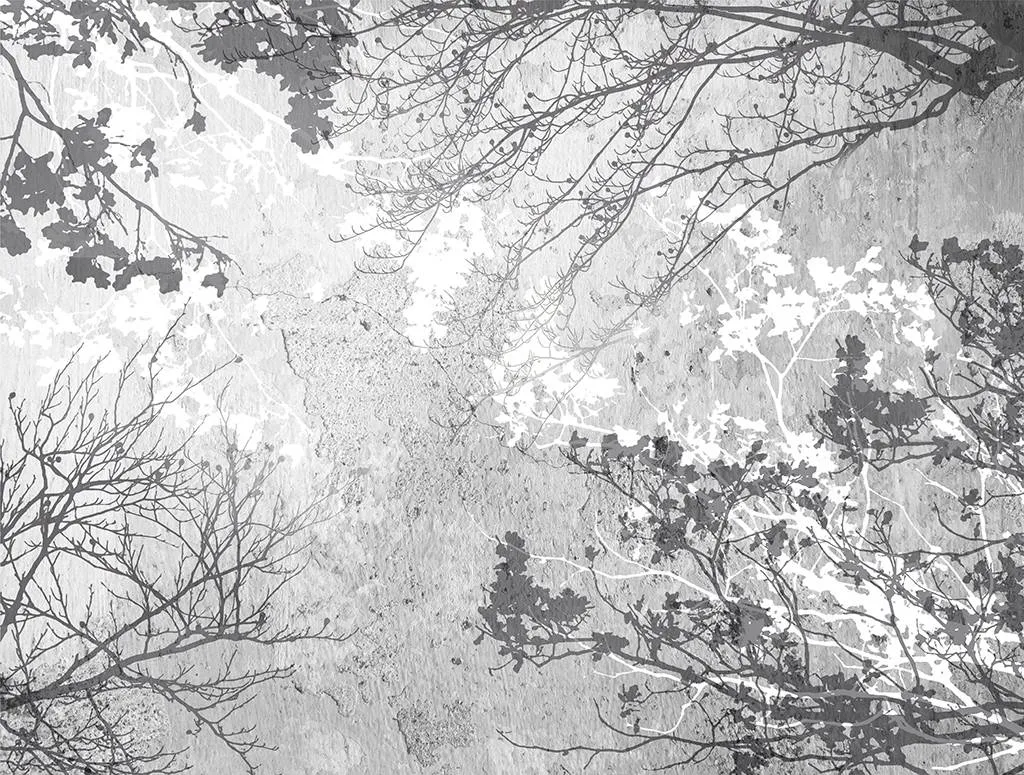 Фотообои в интерьере ветви серые  9-1922 фото