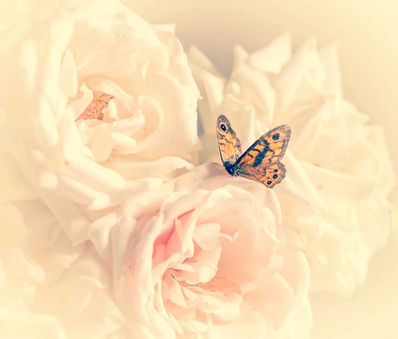 Фотообои в интерьере бабочка в розах  9-037 фото