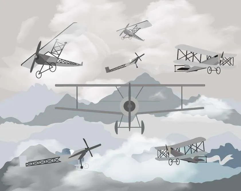 Фотообои в интерьере авиация в горах  14-383 фото