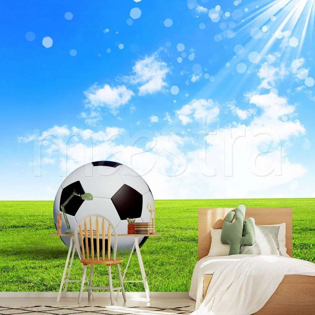 Фотообои в интерьере мяч под солнцем  12-535 фото